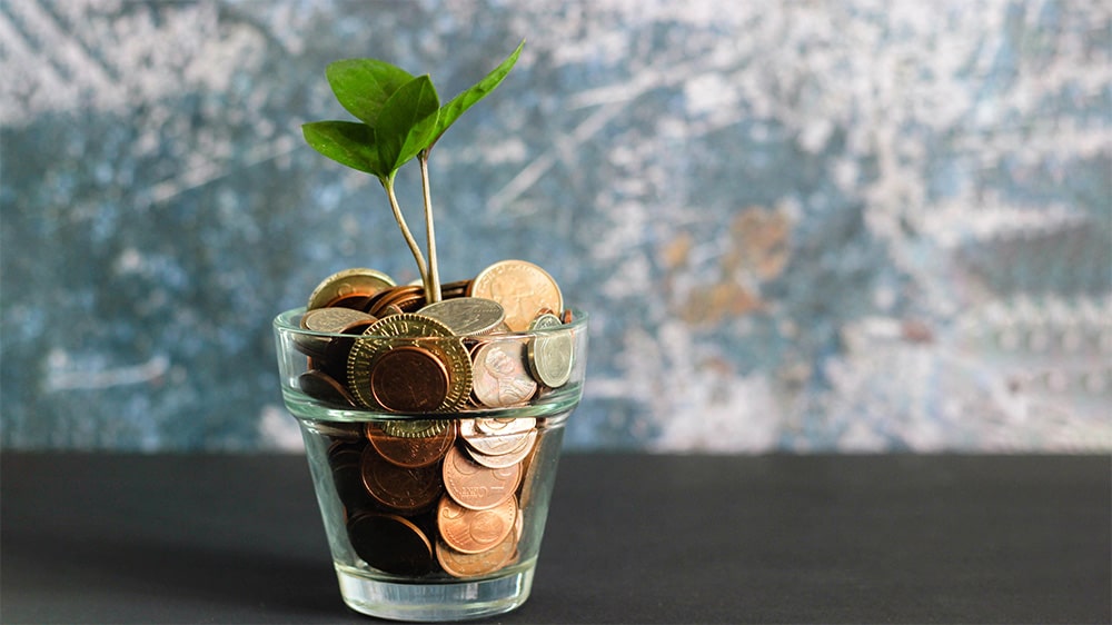The Search for Bookkeeping Services in San Diego, CA - Part 2