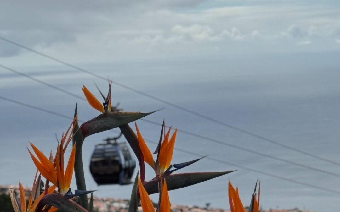 How to Set Up EFTPS for a C-Corporation (and What to Do If You Can’t Log In Yet)