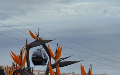 How to Set Up EFTPS for a C-Corporation (and What to Do If You Can’t Log In Yet)