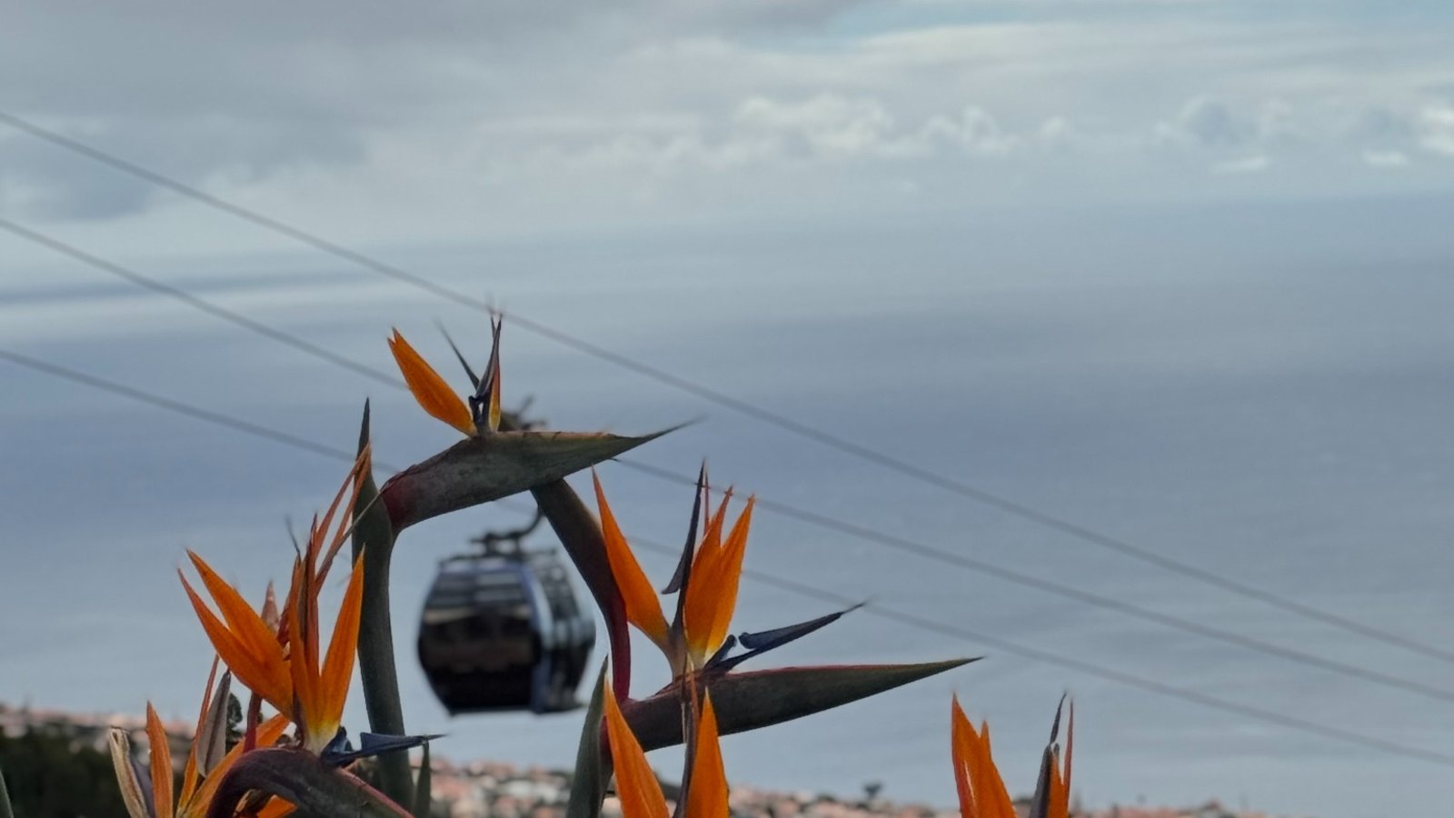 How to Set Up EFTPS for a C-Corporation (and What to Do If You Can’t Log In Yet)